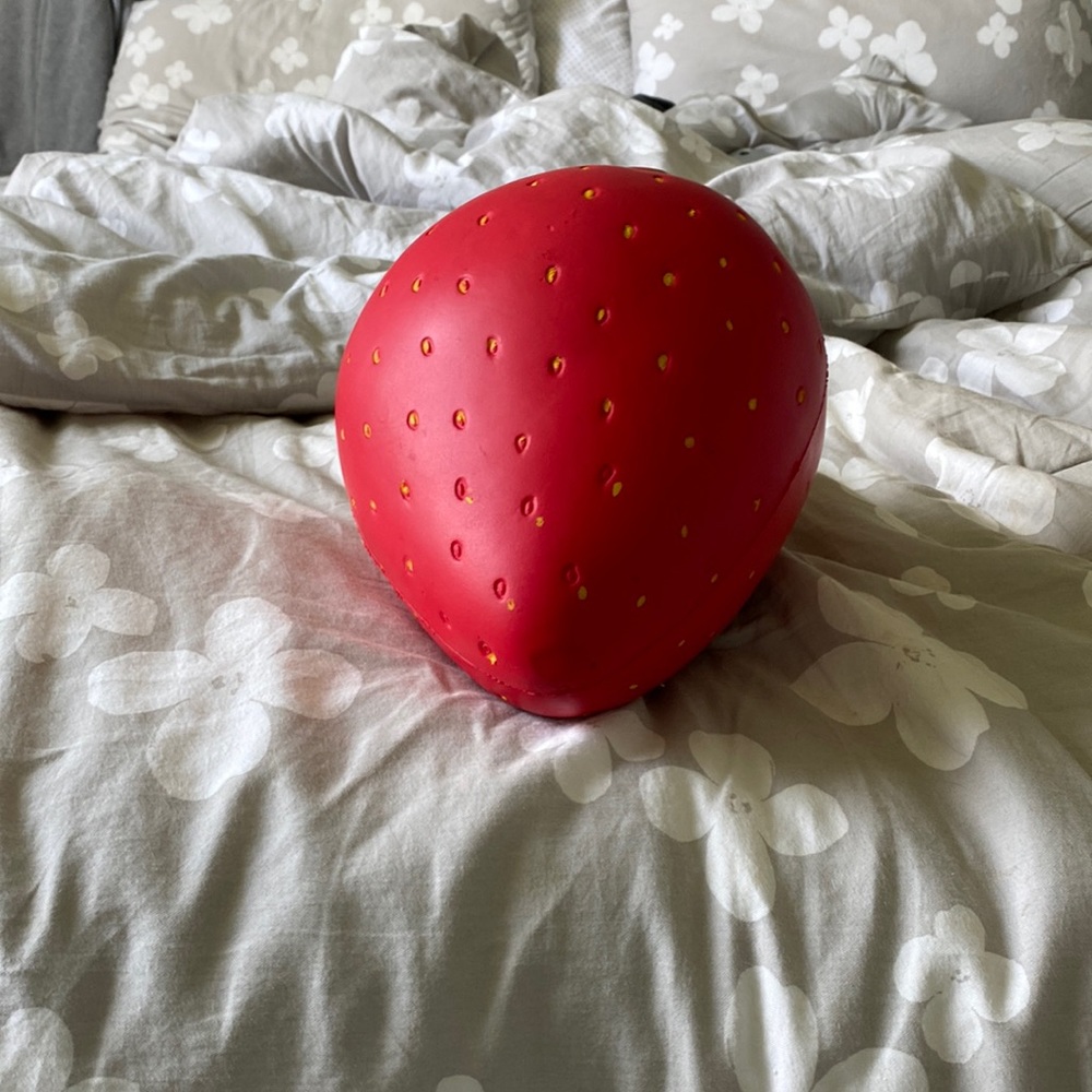 Large strawberry squishy